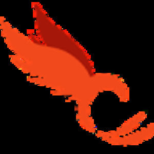 Meet your Posher, Adnan